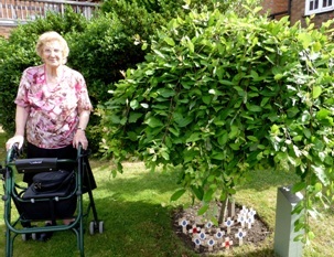 Elsie Edwards with our beautiful FEPOW tree